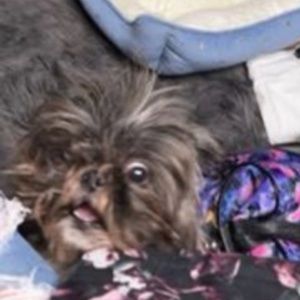 Meet your Posher, Jadyn